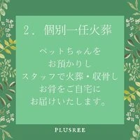 画像238