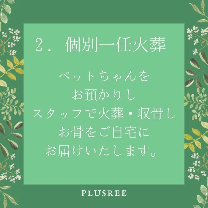画像238