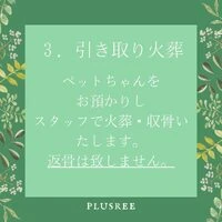 画像239