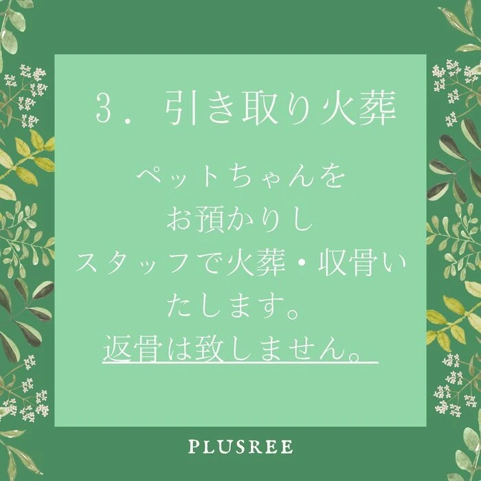 画像239