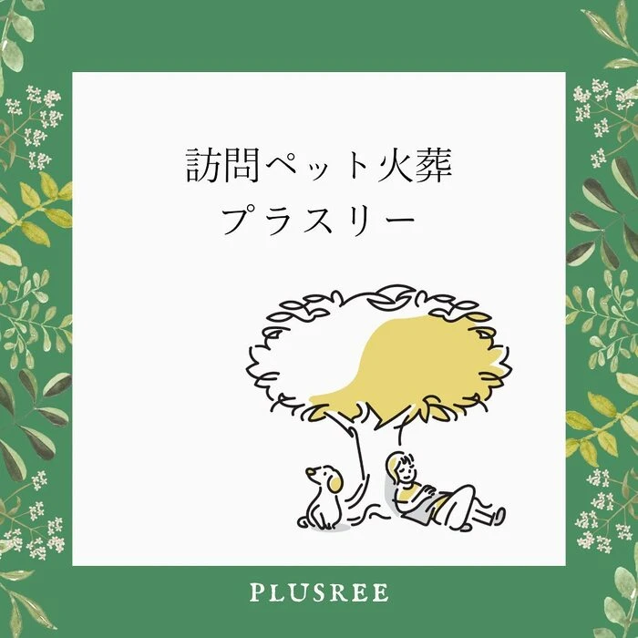 画像240